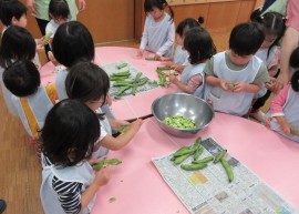 そら豆の皮むきをしました