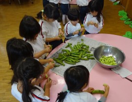そら豆の皮むき